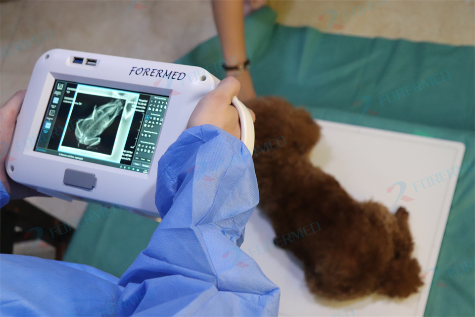 Mini Veterinary X Ray Machine  - огляд і ціна Vet Tech Accessories