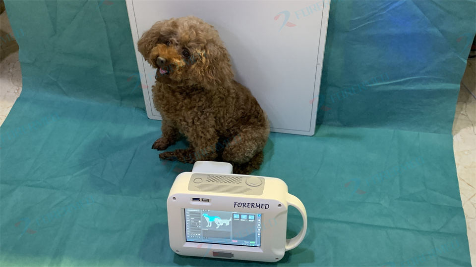Mini Veterinary X Ray Machine  - огляд і ціна Vet Tech Accessories